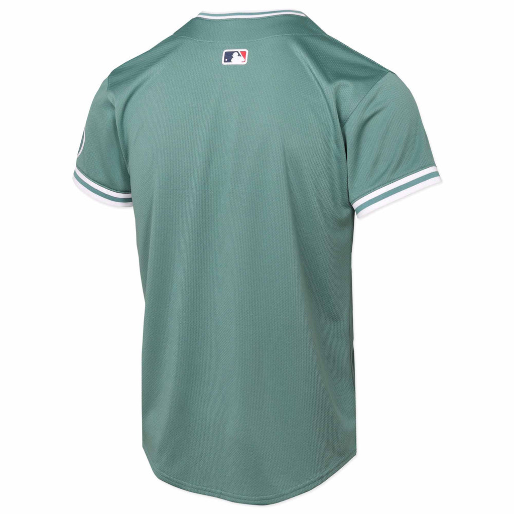 Nike Youth 25 City Connect Limited Jersey - Green - Blank